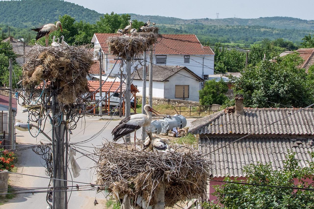 Bed & Breakfast Delikates Stojakovo Екстер'єр фото